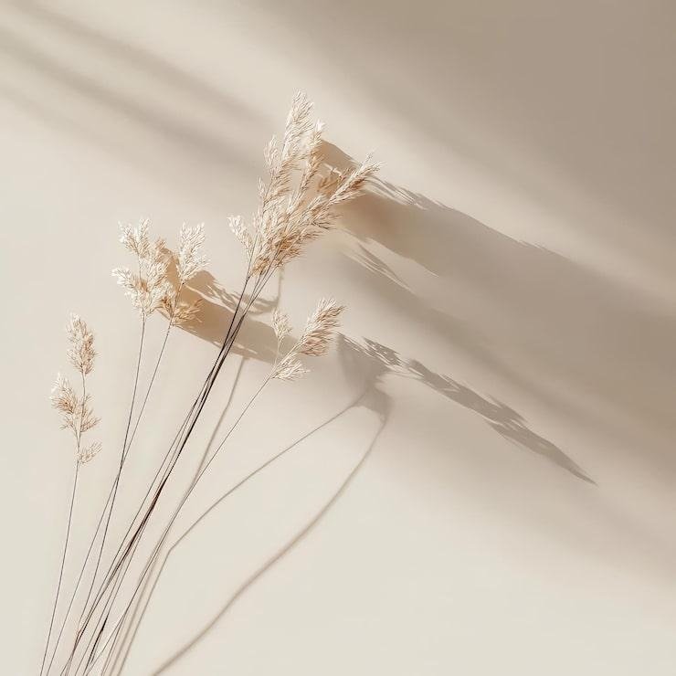 Simple and elegant